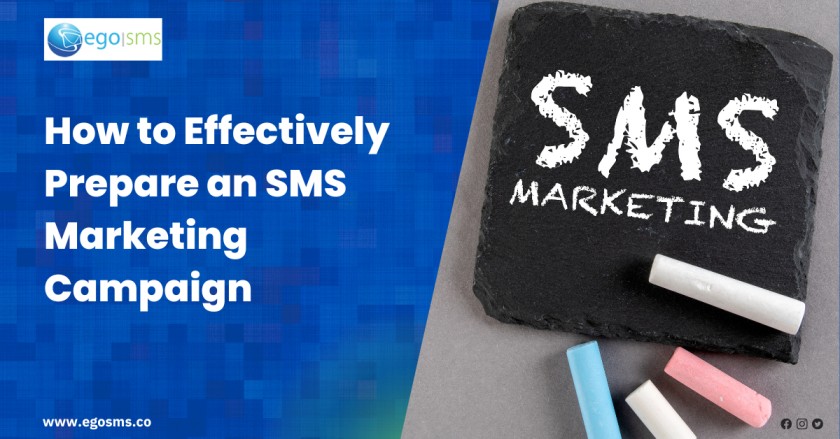 How to Effectively Prepare an SMS Marketing Campaign